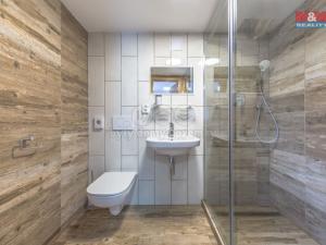 Prodej chaty, Benecko, 1480 m2
