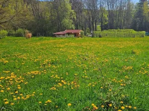 Dražba pozemku pro bydlení, Omlenice, 4505 m2