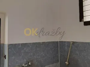 Dražba bytu 1+1, Dolní Olešnice, 96 m2