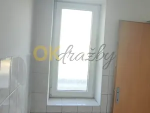 Dražba bytu 2+1, Újezd pod Troskami, 64 m2