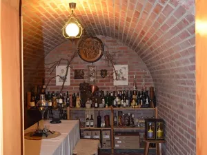 Pronájem bytu 2+kk, Židlochovice, Tyršova, 40 m2