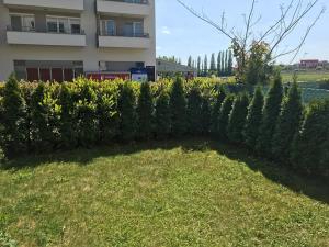 Prodej bytu 1+kk, Praha - Letňany, Štanderova, 30 m2