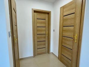 Pronájem bytu 2+kk, Židlochovice, 40 m2