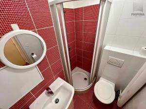Pronájem bytu 1+kk, Brno, Brožíkova, 23 m2