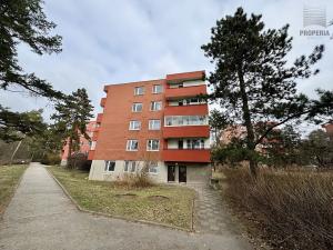 Pronájem bytu 1+kk, Brno, Brožíkova, 23 m2