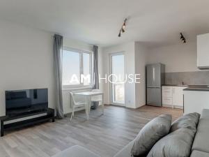 Pronájem bytu 1+kk, Praha - Strašnice, Zvěřinova, 48 m2