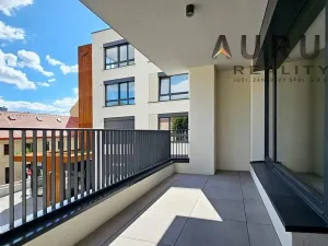 Pronájem bytu 1+kk, Praha - Nusle, Bělehradská, 42 m2