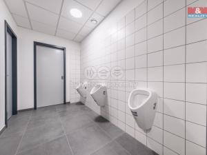 Pronájem kanceláře, Říčany, U Sanitasu, 44 m2