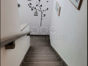 Prodej bytu 1+kk, Jeseník, Zeyerova, 23 m2