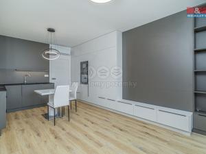 Pronájem bytu 1+kk, Olomouc, Wolkerova, 33 m2