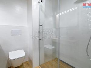 Pronájem bytu 1+kk, Olomouc, Wolkerova, 33 m2