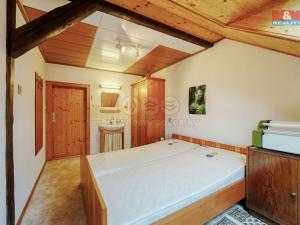 Prodej činžovního domu, Plzeň - Vnitřní Město, Dominikánská, 340 m2