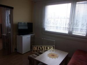 Pronájem bytu 1+1, Teplice, Palackého, 35 m2