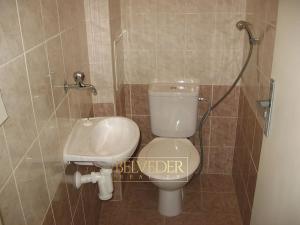 Pronájem bytu 1+1, Teplice, U Hadích lázní, 45 m2