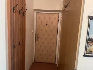 Pronájem bytu 2+1, Velké Bílovice, 58 m2