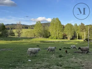 Prodej chalupy, Nová Pec, 530 m2
