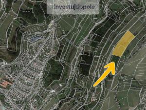 Prodej louky, Semily, 11850 m2