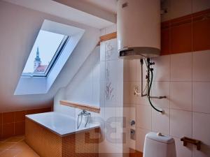 Pronájem bytu 1+kk, Vyškov, 50 m2
