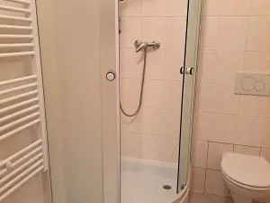 Pronájem bytu 1+1, Hradec Králové, Horova, 45 m2