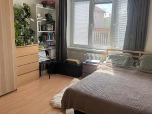 Prodej bytu 1+1, Brno, Merhautova, 37 m2