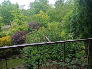 Pronájem rodinného domu, Bučovice, 130 m2