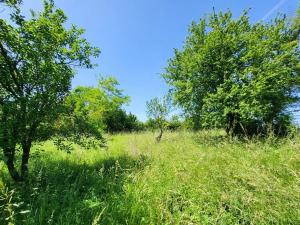 Prodej rodinného domu, Kožušice, 115 m2