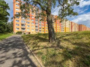 Prodej bytu 1+1, Jirkov, SNP, 35 m2