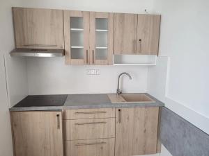 Pronájem bytu 1+1, Frýdek-Místek, Skautská, 34 m2