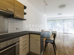 Pronájem bytu 2+kk, Praha - Dejvice, Matějská, 60 m2