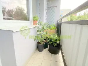 Prodej bytu 3+kk, Nový Jičín, Dvořákova, 68 m2