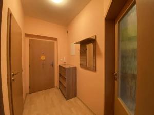 Pronájem bytu 2+kk, Hradec Králové, Svatojánská, 30 m2