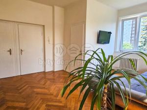 Pronájem atypického bytu, Hradec Králové, Sokolská, 19 m2