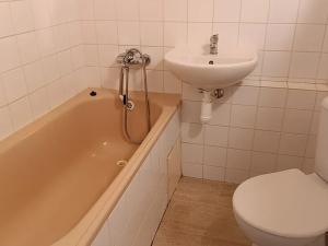 Pronájem bytu 1+kk, Praha - Košíře, Vrchlického, 23 m2