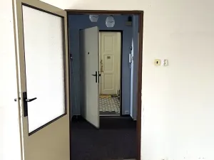 Prodej bytu 3+1, Plzeň, Raisova, 86 m2