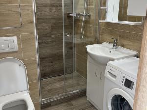 Pronájem bytu 1+1, Židlochovice, sídl. Družba, 32 m2