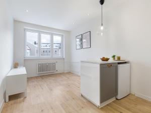 Pronájem bytu 1+kk, Ostrava - Mariánské Hory, Korunní, 22 m2