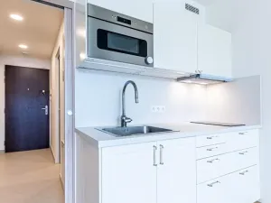 Prodej bytu 1+kk, Praha - Libeň, Kurta Konráda, 33 m2