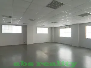Pronájem výrobních prostor, Kostomlaty nad Labem, 139 m2