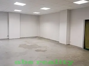 Pronájem výrobních prostor, Kostomlaty nad Labem, 139 m2
