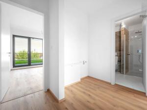 Pronájem bytu 2+kk, Brno, Škrochova, 50 m2