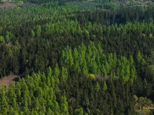 Prodej rodinného domu, Pavlíkov, 436 m2