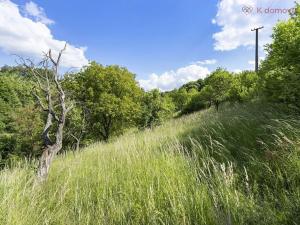 Prodej pozemku pro bydlení, Bohuslavice u Zlína, 11131 m2