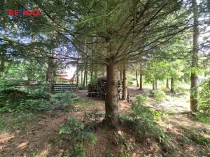 Prodej pozemku pro bydlení, Borušov, 1308 m2