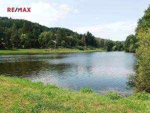Prodej pozemku pro bydlení, Borušov, 1308 m2