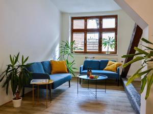 Pronájem pokoje, Brno, Starobrněnská, 25 m2