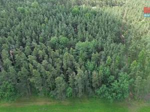 Prodej lesa, Chotilsko - Prostřední Lhota, 3372 m2