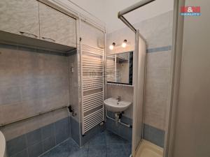 Pronájem bytu 1+1, Brno - Zábrdovice, Cejl, 48 m2