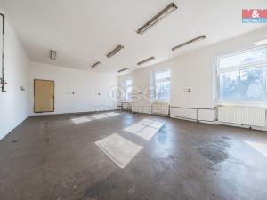 Prodej výrobních prostor, Načeradec, Zámecké náměstí, 1800 m2