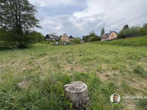 Prodej pozemku pro bydlení, Borovnice, 1050 m2