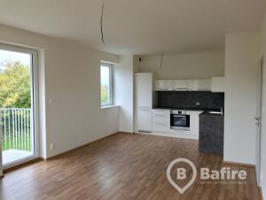 Pronájem bytu 2+kk, Olomouc - Řepčín, Aloise Rašína, 57 m2